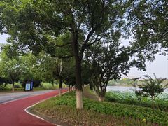 -艾溪湖湿地公园