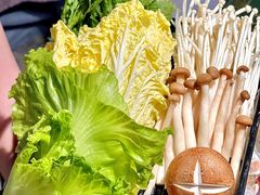 -禄婶鸡煲·打边炉