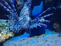 -石林冰雪海洋世界