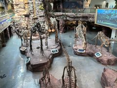 -安徽省地质博物馆