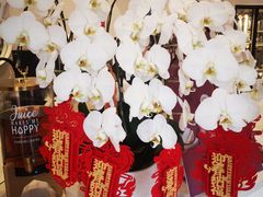 -杜哈夫DOUX RÊVE·生日蛋糕(日月光店)