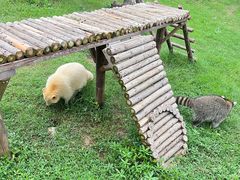 -祥源·阜阳生态乐园