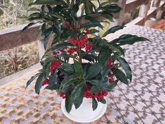 -天台山赤城山景区