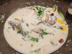-鲜潭蒸汽石锅鱼(五道口购物中心店)