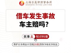 -上海日盈律师事务所·法律咨询