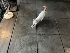 -喜洲吧·江畔老船厂·庭院餐厅(喜临院店)
