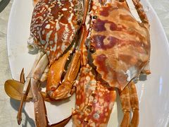 -越百海海鲜蒸锅(乐山店)