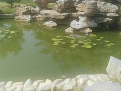 -呼吸森林·生态农庄农家乐私房菜