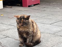 -项记面馆(明瓦廊店)