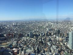 -东京都厅舍