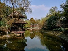 -桂湖森林公园
