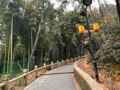 -灵岩山风景区