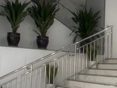 -美可普口腔医院(东街分店)