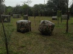 -亲兄弟真人CS团建拓展基地