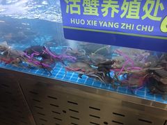 -徐记小怪兽肉蟹煲店(哈西万达金街店)