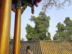 -金堂县云顶石城风景区