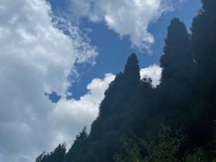 -武陵山森林公园