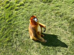 -西霞口神雕山野生动物世界