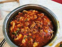 金良招牌肥肠鱼-金良酸菜鱼(宁海路总店)