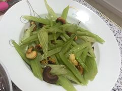 -爱贝佳母婴护理服务中心·月嫂育儿嫂(鲁迅路店)