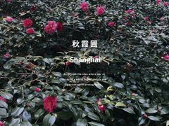 -秋霞圃