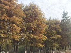 -长广溪湿地公园