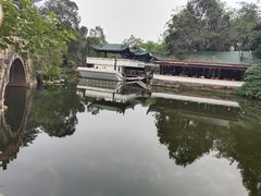 -桂湖森林公园