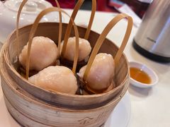 -金鼎轩(亚运村店)