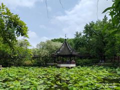 -上海醉白池公园