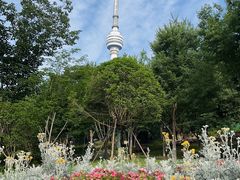 -龟山风景区-龟山电视塔