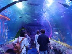 -沈阳海洋探索中心