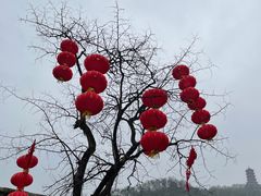 -清真.回香园(南街店)