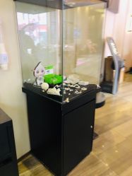 -东莞缔美美容医院