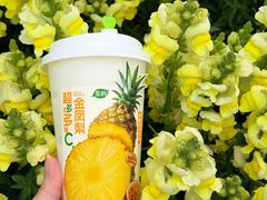 -茶屿水果茶(太古里店)