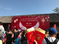 -大湾区中央湿地公园