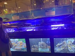 -喜庭海鲜自助(来福士店)