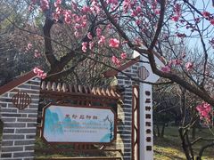 -无锡梅园公园