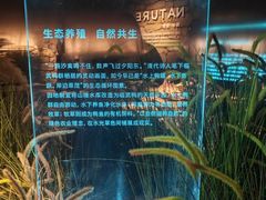 -郴州特产舜华临武鸭(郴州西站店)