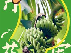 -南宁国际会展中心(会展东博文化旅游区)