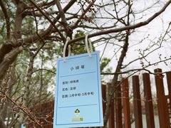 -静安雕塑公园