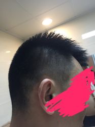 短发-苑苑发型设计