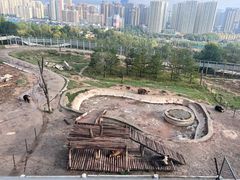 -青藏高原野生动物园