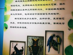 -上海昆虫博物馆