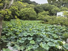 -鹤冈八幡宫