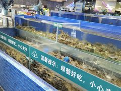 水产区-圣罗巴海鲜自助(黑金店)