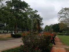 -万绿园