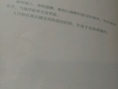 -熊猫邮局(少城店)
