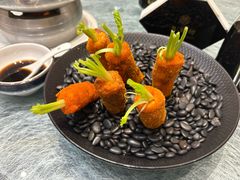 -丁老爷子苏香圆