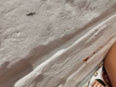 -权味·朝鲜族拌饭(勒泰店)