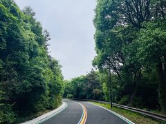 -宝界山林公园
